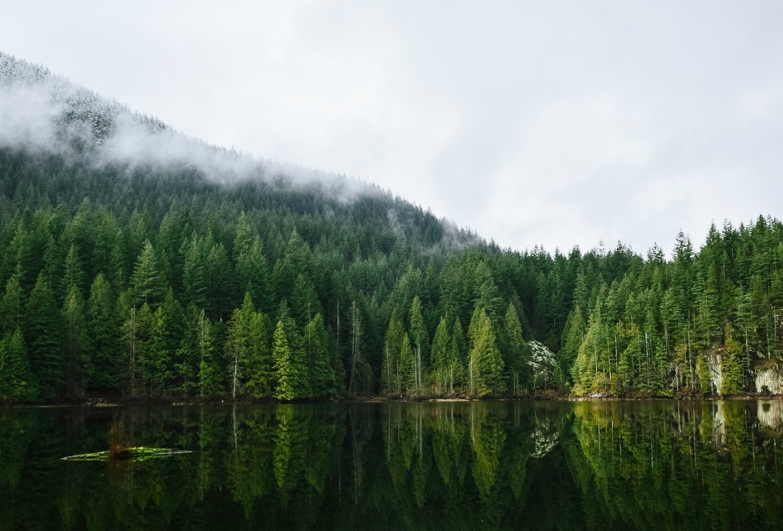 Best Places to Visit Near Nanaimo with a Rental Car